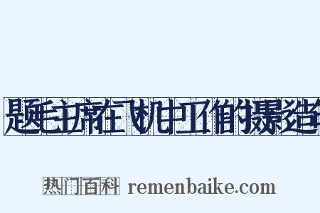 题毛主席在飞机中工作的摄影造句是什么意思的图片